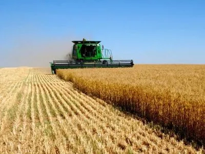 Експерт розповів, хто винен у колосальних збитках Державної продовольчо-зернової корпорації України