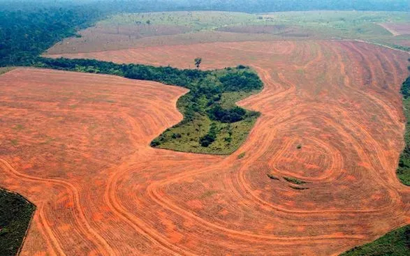 braziliya-rizko-skorotila-ekologichniy-byudzhet-na-nastupniy-den-pislya-klimatichnogo-samitu