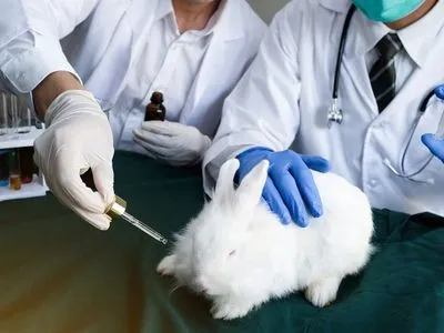 24 апреля: в мире отмечают день солидарности молодежи и день защиты лабораторных животных