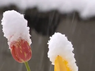 Квітневий сніг в Україні не аномалія – синоптик