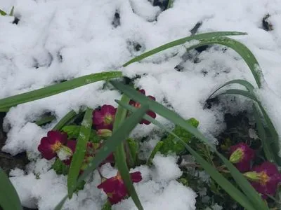 Апрельская шутка: Украину засыпало снегом