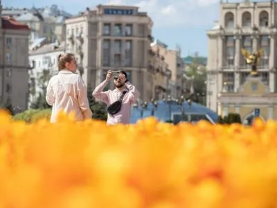Сто тисяч нідерландських тюльпанів розквітли у центрі Києва