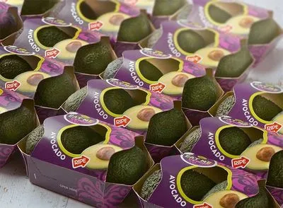 В Нидерландах разработали уникального робота, который пакует 240 авокадо в минуту