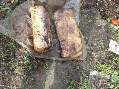 В одному з прифронтових сіл Донеччини виявили у схованці 20 кг пластиду
