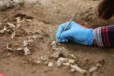 Доисторические гробницы были обнаружены при раскопках на площади в Стамбуле