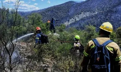 Греция: лесной пожар под Афинами почти под контролем