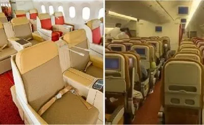 Рейс Air India повернувся в аеропорт після виявлення кажана в бізнес-класі