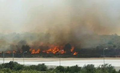 В Ізраїлі через сильну спеку спалахнули пожежі