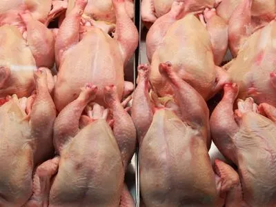 Украина в рейтинге крупнейших мировых экспортеров мяса птицы в 2021 году