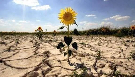 17 июня: Всемирный день борьбы с опустыниванием и засухой