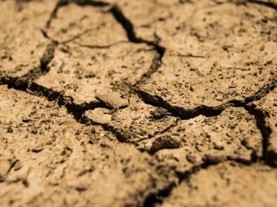 В ООН назвали посуху “наступною пандемією”