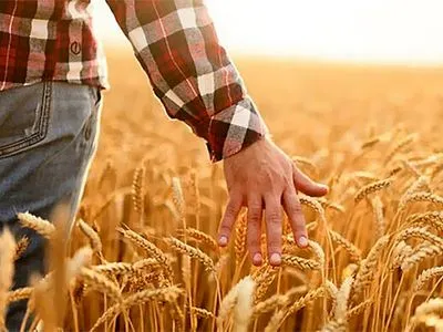 19 червня: сьогодні в Україні відзначають День фермера