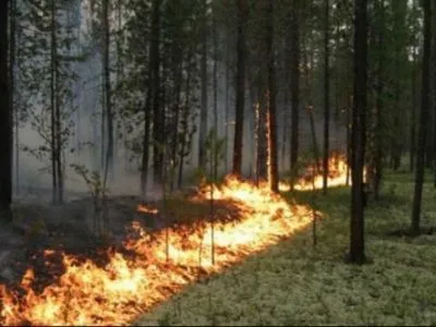 Укргидрометцентр предупреждает жителей ряда областей о чрезвычайной пожарной опасности
