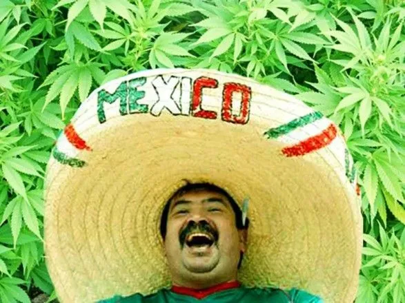 Верховний суд Мексики схвалив використання марихуани для відпочинку