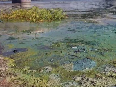 Экологическое состояние Днепра оценили как катастрофическое: в водах нашли ядохимикаты и тяжелые металлы