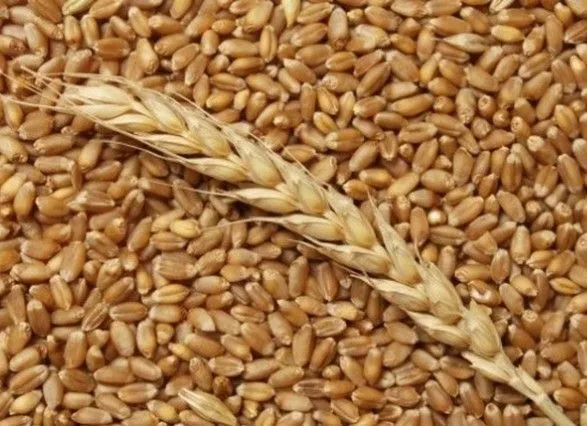Як поховати репутацію України на зерновому ринку: справа ексглави Державної продовольчо-зернової компанії вийшла на фінішну пряму