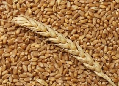 Як поховати репутацію України на зерновому ринку: справа ексглави Державної продовольчо-зернової компанії вийшла на фінішну пряму