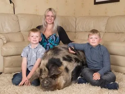 В Англии женщина воспитывает дома свинью весом 222 кг
