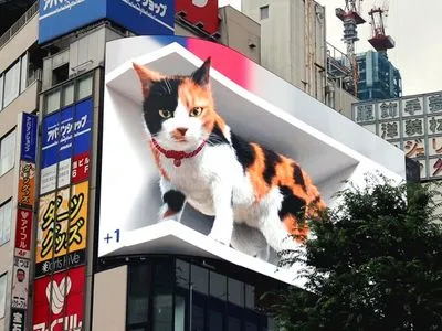 В одном из районов Токио "поселился" большой 3D-кот
