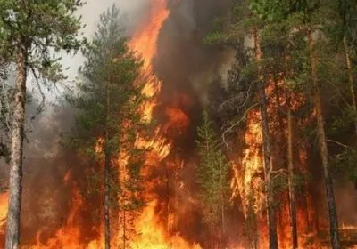 Українців попереджають про надзвичайний рівень пожежної небезпеки