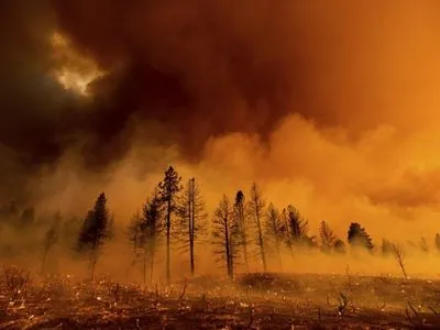 У Каліфорнії через спеку зафіксували масштабні пожежі: людей евакуйовують