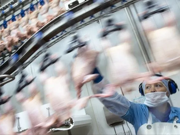 МХП Косюка нарастил производство курятины