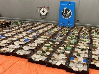 У порту Роттердама знайшли понад 1500 кг кокаїну в контейнерах з ананасами і бананами