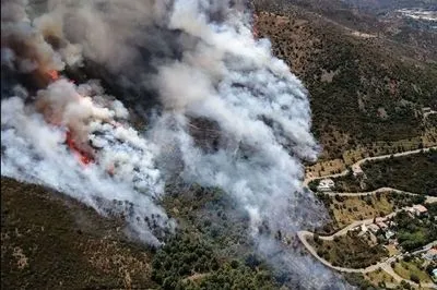 Масштабна лісова пожежа в Іспанії знищила 400 га природного парку