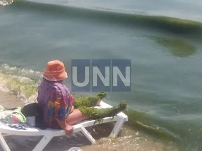 Одесские пляжи "атакуют" шезлонги и водоросли