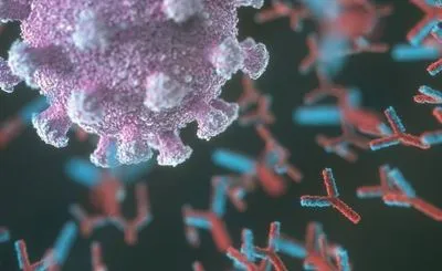 Ізраїльські вчені виявили, що у жінок і чоловіків рівні антитіл до коронавірусу суттєво відрізняються