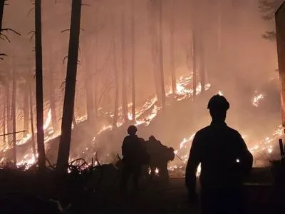 У США природні пожежі охопили понад 470 тис. гектарів землі