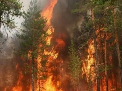В США в пожарах уничтожено 400 гектаров леса