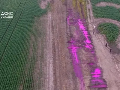 Розовые лужи в поле возле Ровно: спасатели определили, что это за жидкость и опасна ли для людей