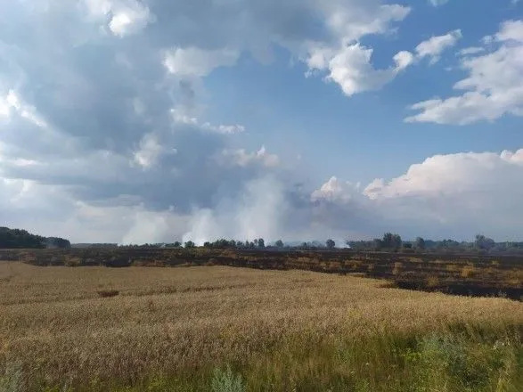 У Чернігівській області горить пшеничне поле: вогонь локалізували на площі 55 га