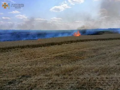 В Николаевской области загорелось пшеничное поле