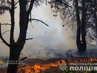 В Запорожье горел Национальный заповедник Хортица