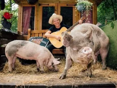 Двухдневное буги-вуги: в Англии организуют вечеринку для свиней