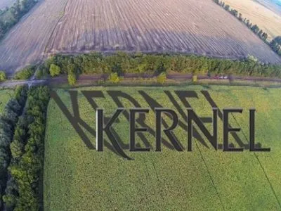 "Кернел" запропонував українцям фінансувати будівництво їх елеваторів: три приклади невдалого співробітництва з агрохолдингом Веревського