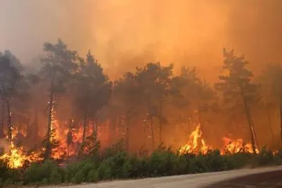 При гасінні лісових пожеж в Анталії загинули двоє робітників
