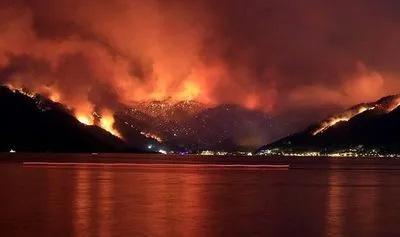 Пострадавшие от пожаров районы Турции объявлены зоной бедствия