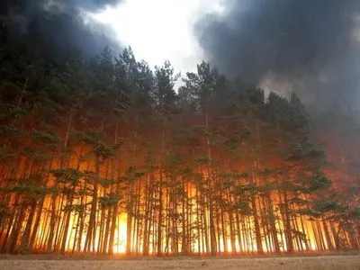 Ответственность за лесные пожары в Турции взяла организация "Дети огня": детали