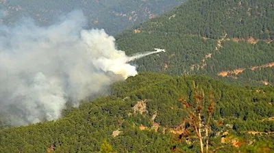В Турции локализованы 98 из 107 очагов лесных пожаров
