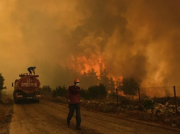 В Турции запретили посещать леса в провинциях, где бушуют пожары