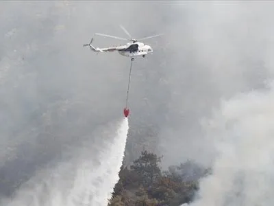 В курортной Анталии локализовали большинство лесных пожаров