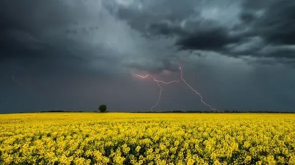 Половину Украины накроет грозовыми дождями: прогноз погоды на сегодня