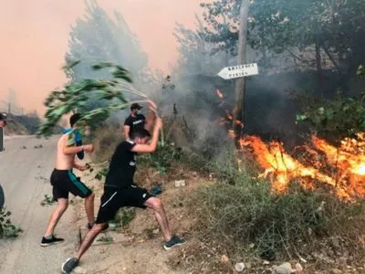 Лісові пожежі в Алжирі забрали життя 42 осіб, включно з солдатами
