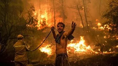 Лісові пожежі в Алжирі: щонайменше 65 людей загинули