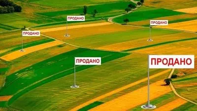 Рынок земли: в Украине зарегистрировано более 5 тысяч земельных сделок
