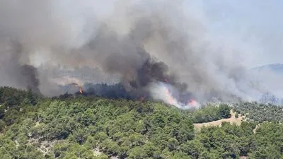 У Туреччині заявили, що взяли під контроль усі пожежі