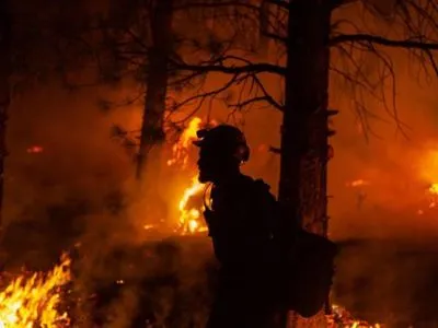 Пожар на севере Калифорнии охватил площадь более 200 тыс. га